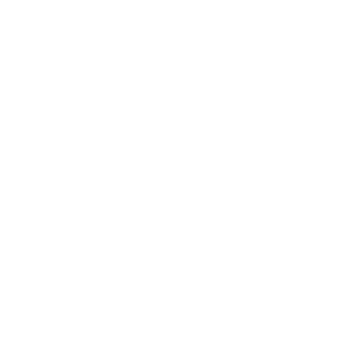 Website of the Year logo
